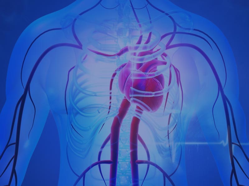 especialidade cirurgia  vascular policlínica médica osasco